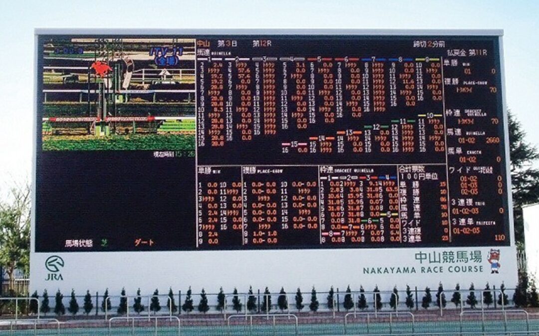 日本 中山競馬場